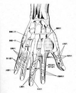 Some of the 'miraculous' points in Tung's Acupuncture, illustration from Dr. Wei-Chieh Young’s book on Tung's points.