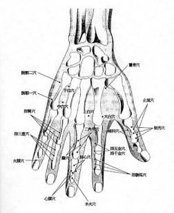 Some of the 'miraculous' points in Tung's Acupuncture, illustration from Dr. Wei-Chieh Young’s book on Tung's points.