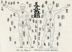 West meets East: A Dutch rendering of a moxa chart of Japanese origin, 1729